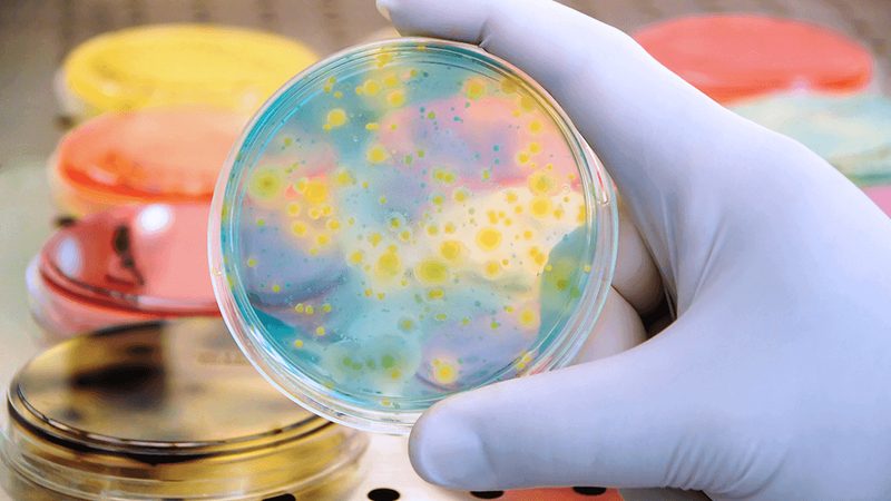 细胞培养代理解析：揭秘细胞培养代数对实验结果的影响**