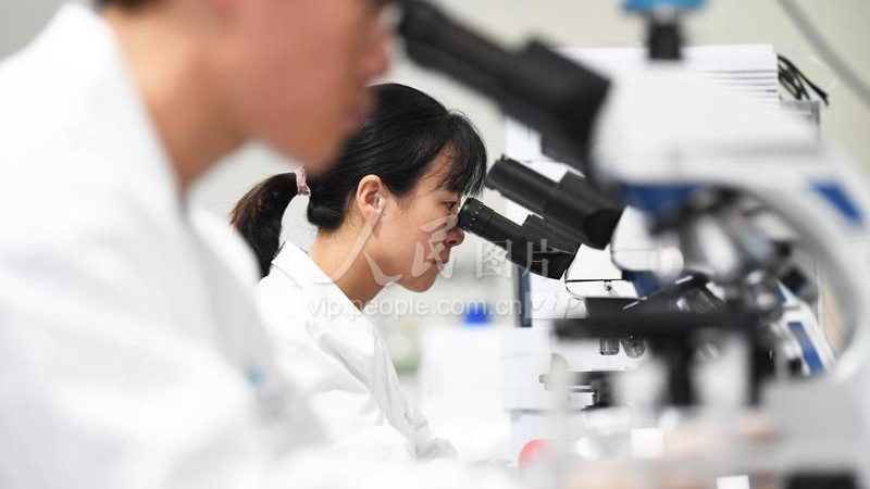 细胞工厂安装，这些关键点你了解吗？**