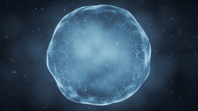 定制化抗体在生物医药研发中的关键作用**