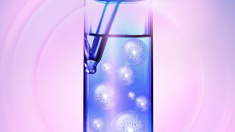 上海基因检测全流程拆解：从采样到报告的关键节点