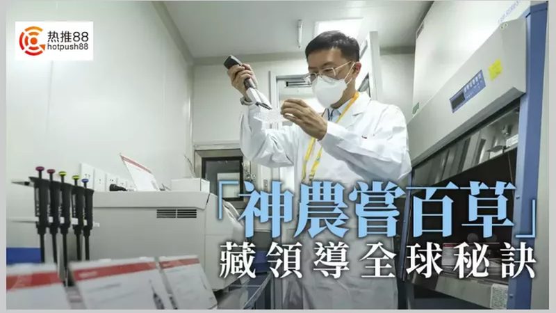 CDMO工艺流程参数设置的奥秘与关键