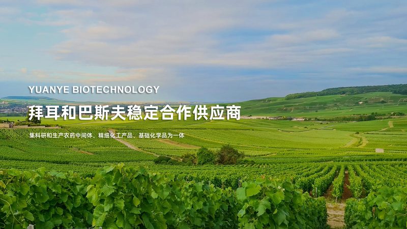 ADC临床试验的冰与火：疗效突破与开发困局