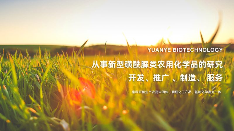 苏州生物药CDMO公司：揭秘生物药生产背后的关键力量**