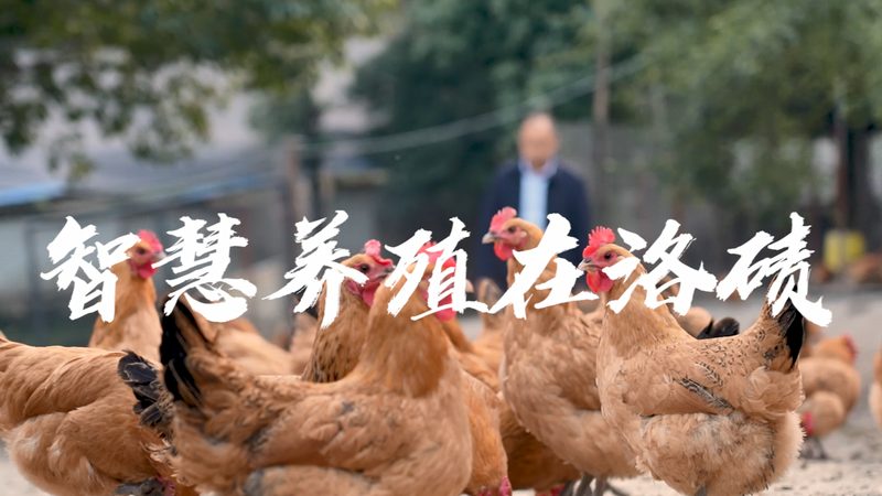 生物科技公司招聘流程：揭秘高效人才引进之道**