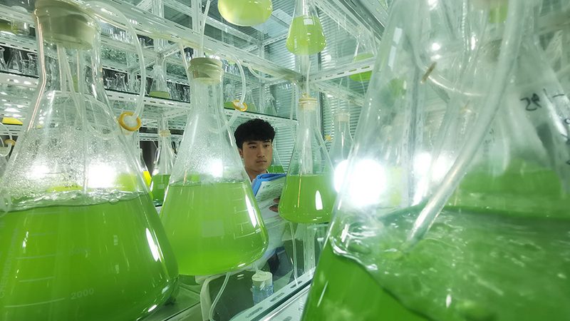 引物合成质量如何保障？关键评估指标解析